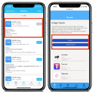 This comprehensive article provides an overview of Esign iPA, a popular code signing service for iOS developers.
